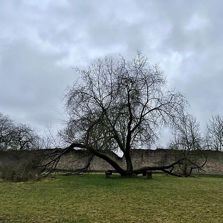 Delux Ferienwohnung Kunstgalerie Und Ilmradweg Kranichfeld Zewnętrze zdjęcie