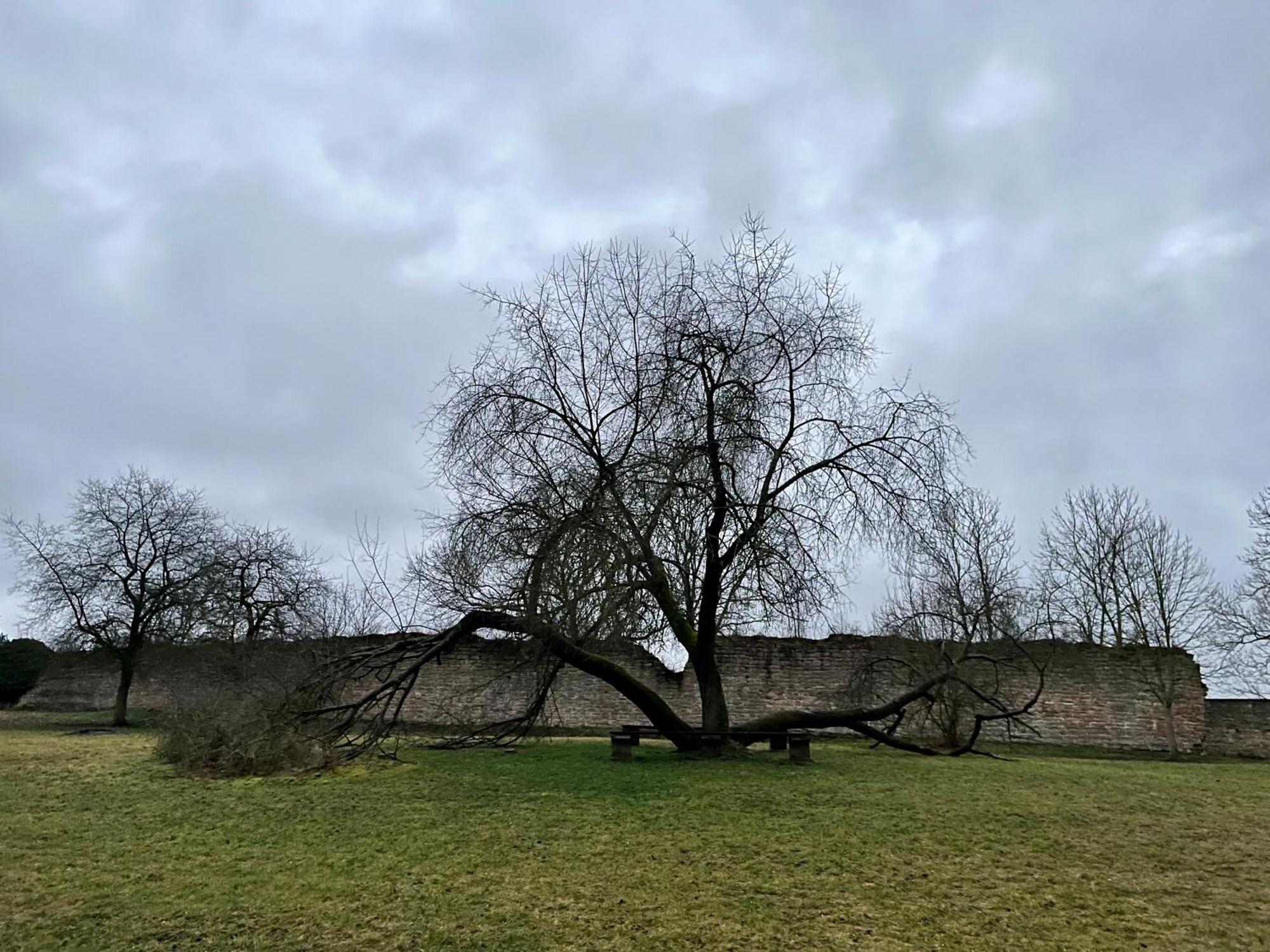 Delux Ferienwohnung Kunstgalerie Und Ilmradweg Kranichfeld Zewnętrze zdjęcie