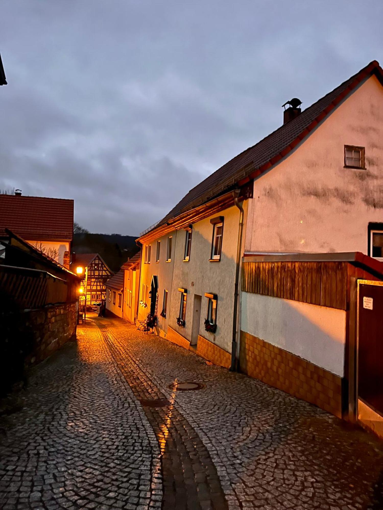 Delux Ferienwohnung Kunstgalerie Und Ilmradweg Kranichfeld Zewnętrze zdjęcie